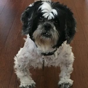 Meet your Posher, Jason